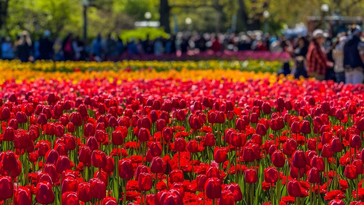 Vườn nghệ thuật Winnipeg